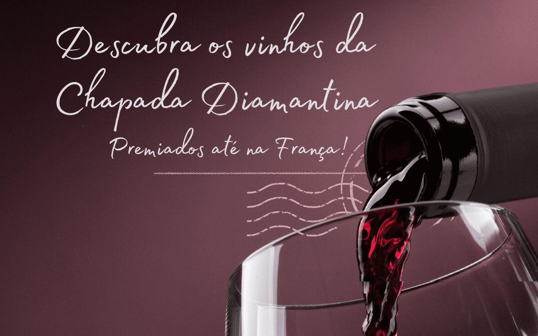 Descubra os vinhos da Chapada Diamantina: Premiados até na França!
